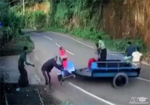 (فیلم) عجیب‌ ترین و خنده‌دار ترین حادثه رانندگی