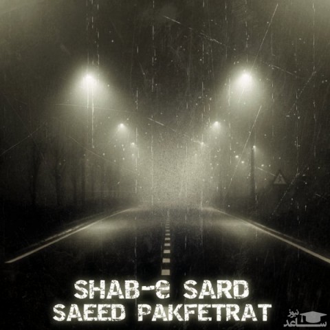دانلود آهنگ شب سرد از سعید پاک فطرت