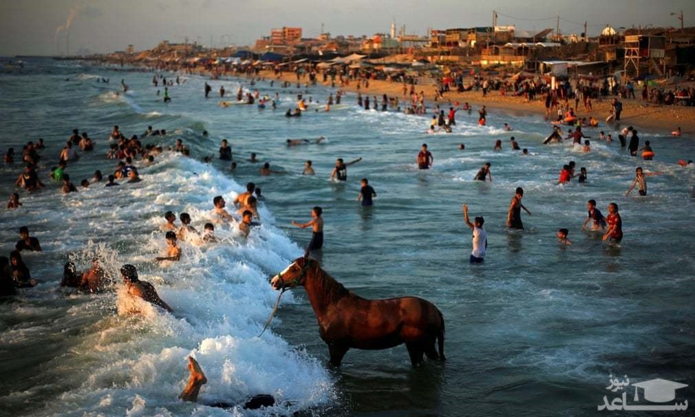 فلسطینی ها در ساحل غزه، نمایی از شهر کیپ تاون آفریقای جنوبی و ...