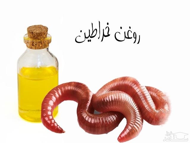خراطین و روغن آن