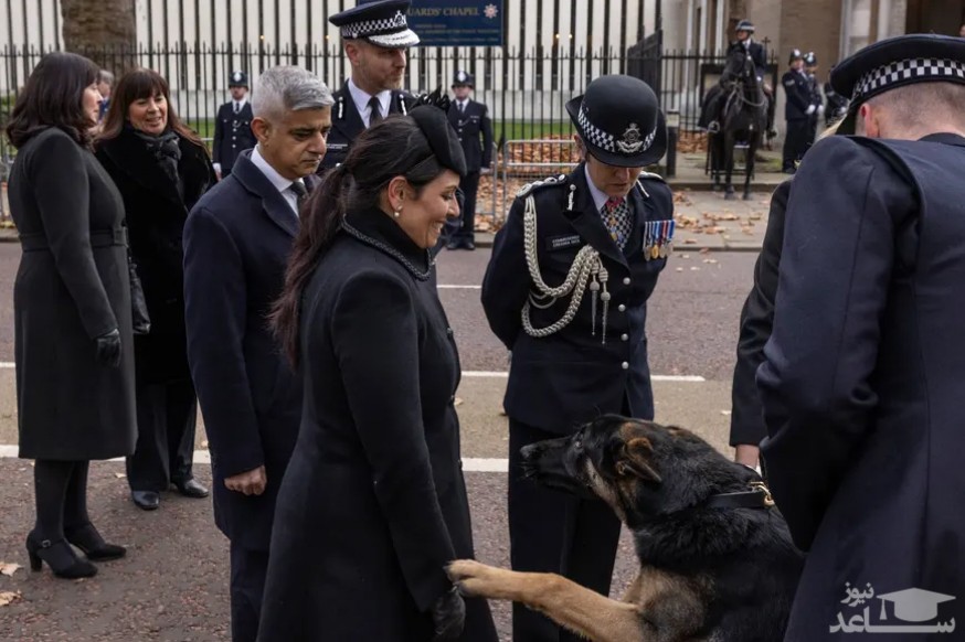 مواجهه سگ پلیس با وزیر کشور انگلیس/ گتی ایمجز