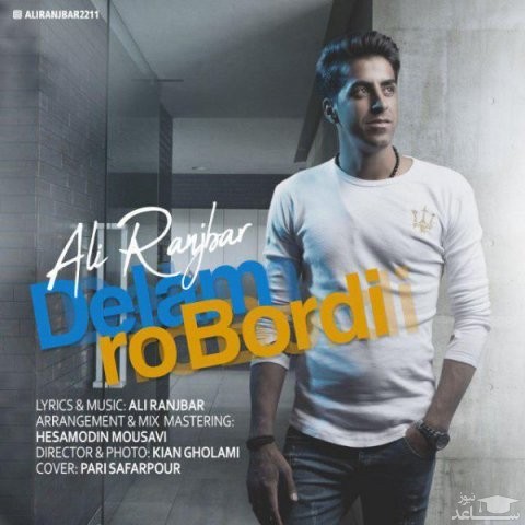دانلود آهنگ دلم رو بردی از علی رنجبر