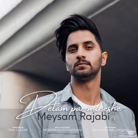 دانلود آهنگ دلم پر میکشه از میثم رجبی