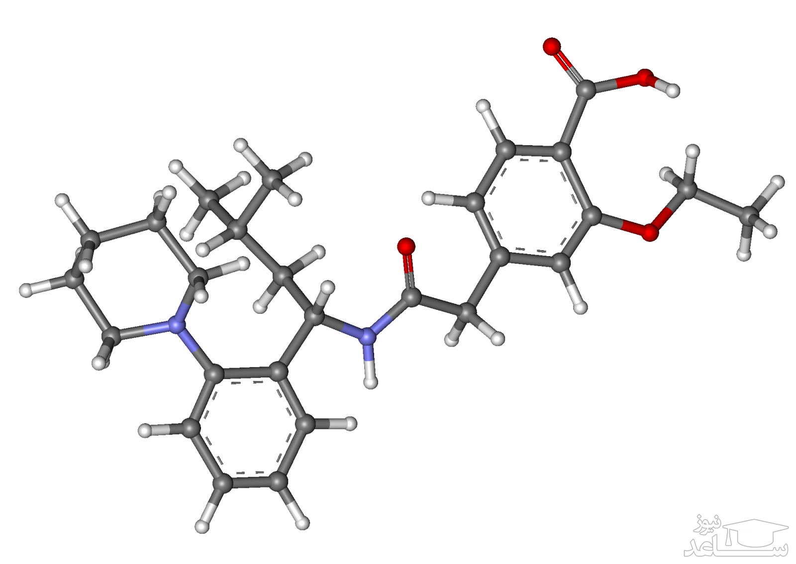 فرمول رپاگلینید