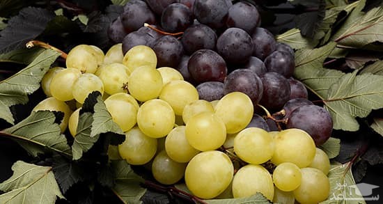 آشنایی با خاصیت درمانی انگور