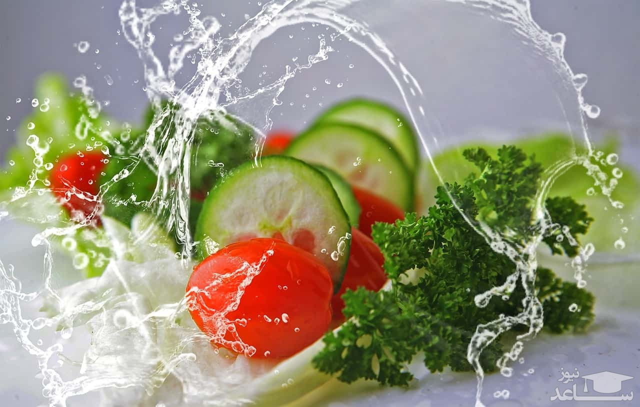 کدام غذاها به تامین آب بدن کمک می کنند