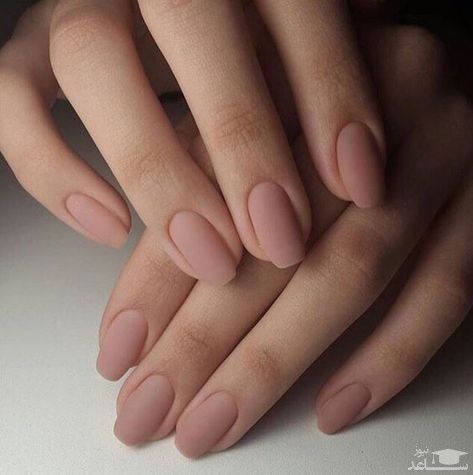 طرح ناخن اداری