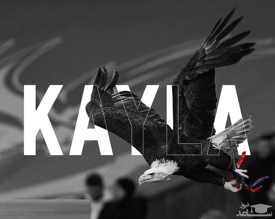 عقاب معروف درگذشت