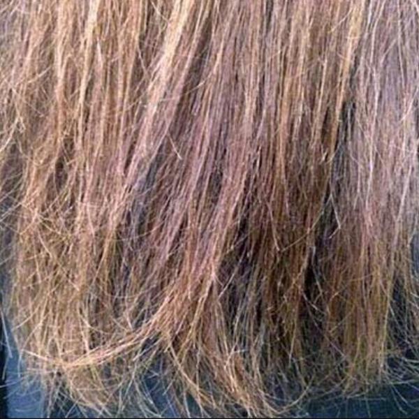 Волосы после травяной краски