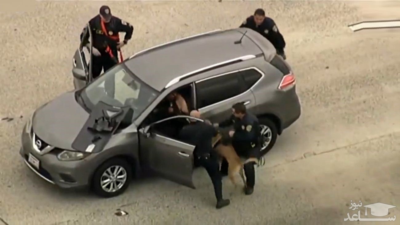 فیلم لحظه حمله سگ پلیس به دزد فراری !