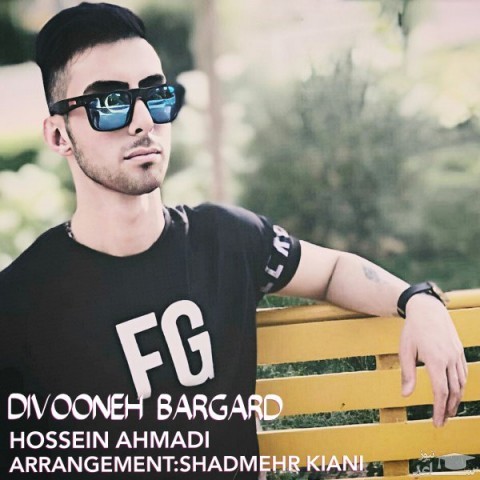 دانلود آهنگ دیونه برگرد از حسین احمدی