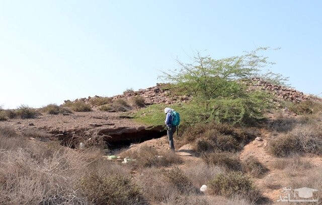 باشتان شناسان