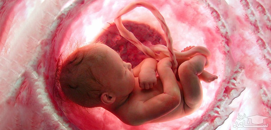 نحوه ذخیره خون بند ناف نوزاد