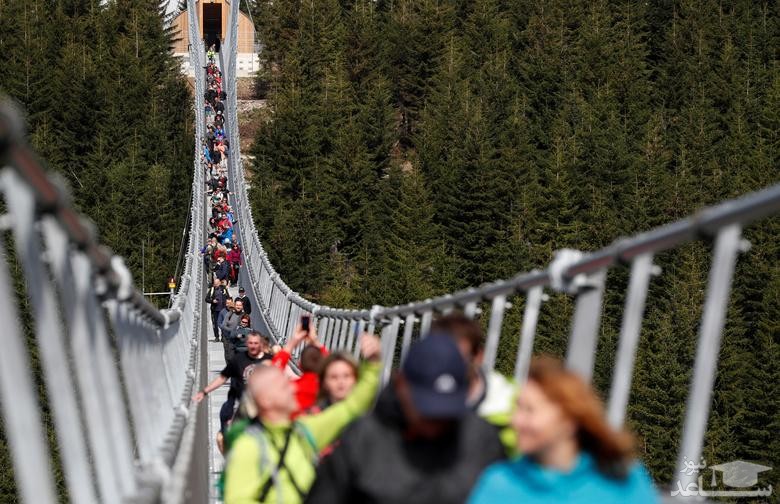 افتتاح بلندترین پل معلق جهان در جمهوری چک/ رویترز