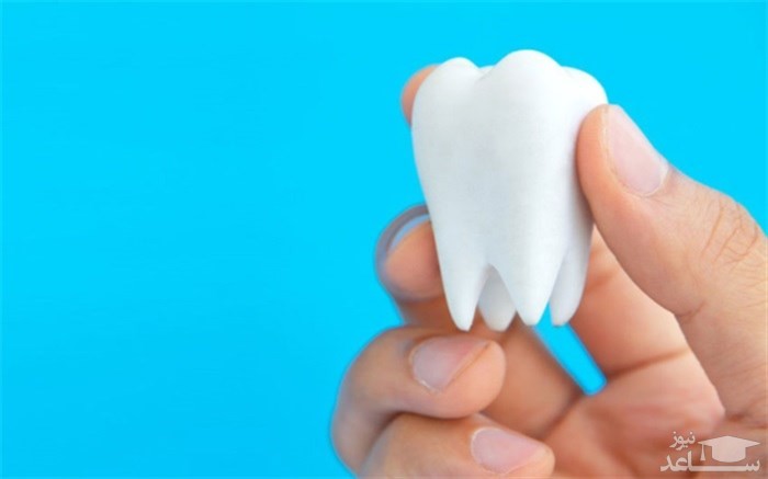 ایمپلنت و دندان طبیعی
