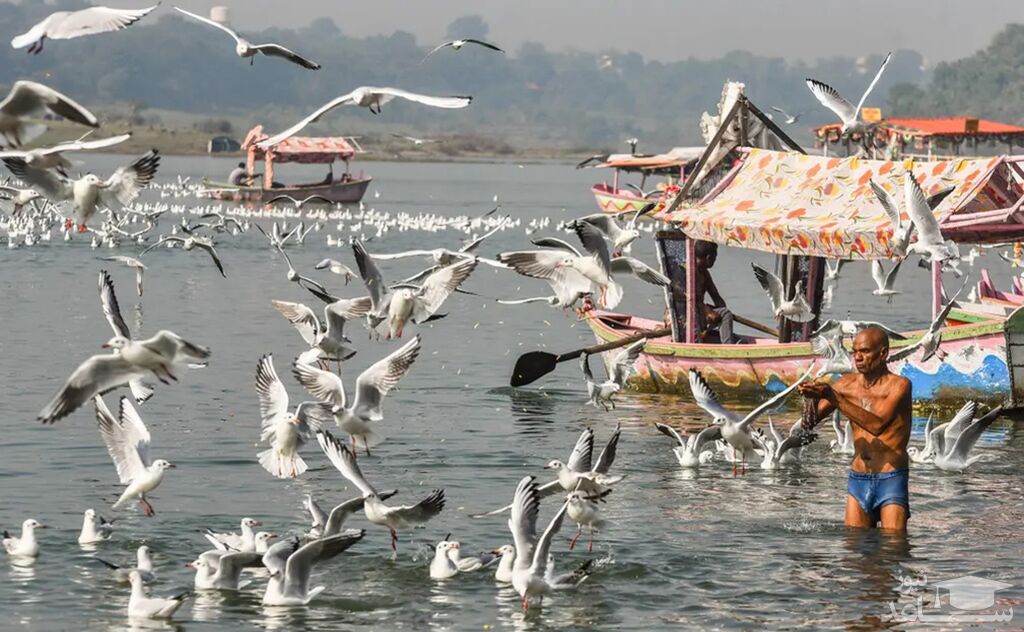 دیدنی های امروز یکشنبه 15 آبان 1401