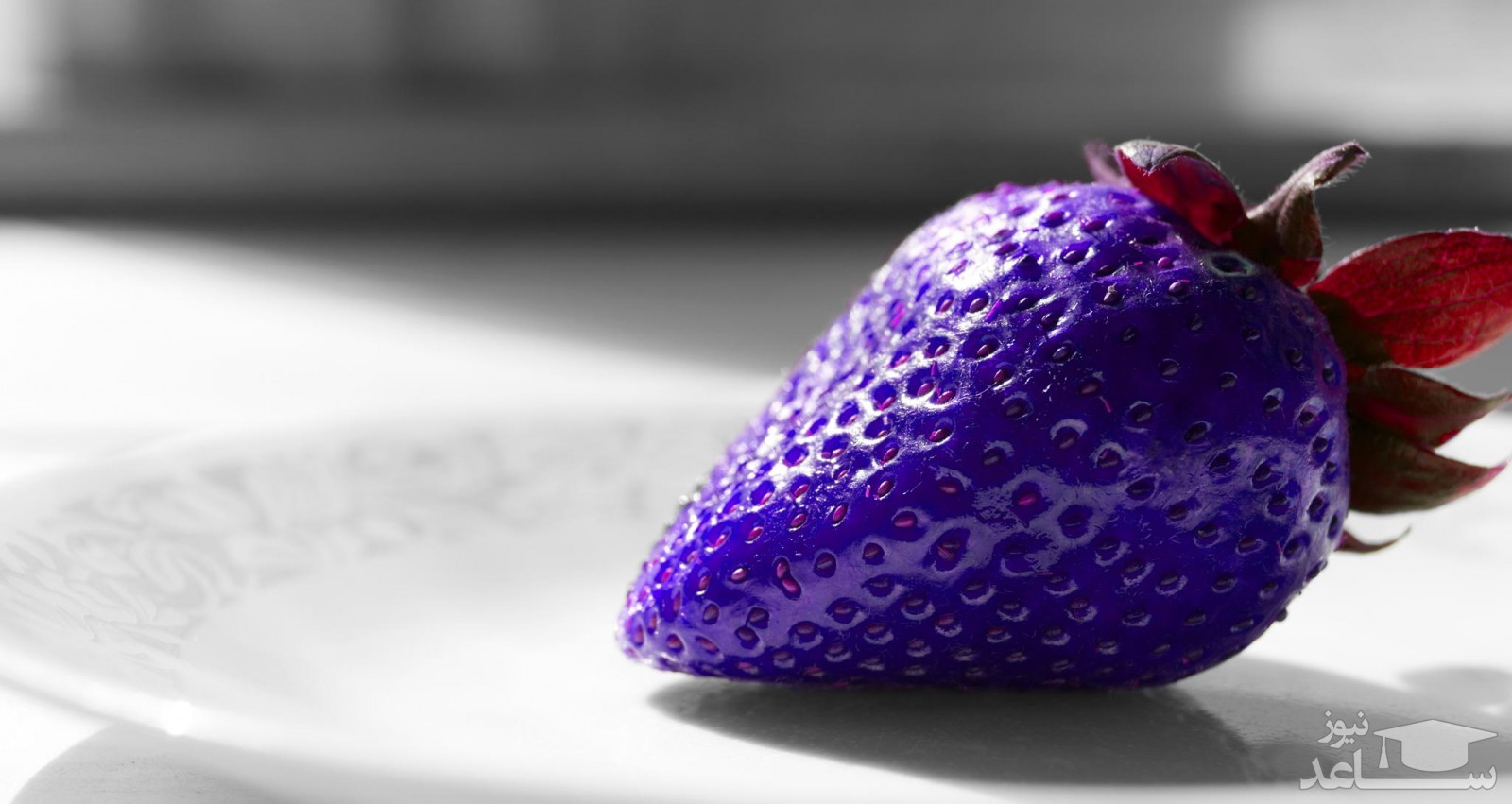 (فیلم) قیمت عجیب میوه لاکچری در بازار؛ توت‌فرنگی آبی دانه‌ای ۳میلیون تومان!