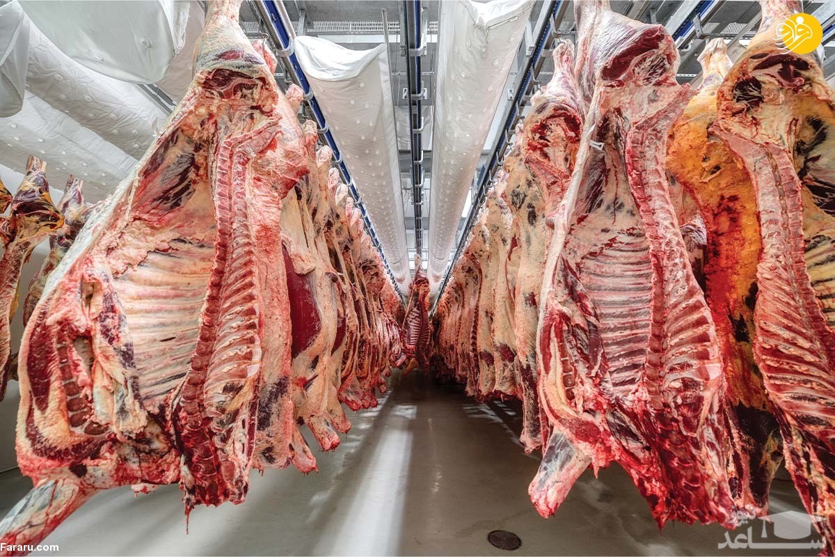 توزیع گوشت گوسفندی ۱۴۲ هزار تومانی بدون محدودیت در کشور
