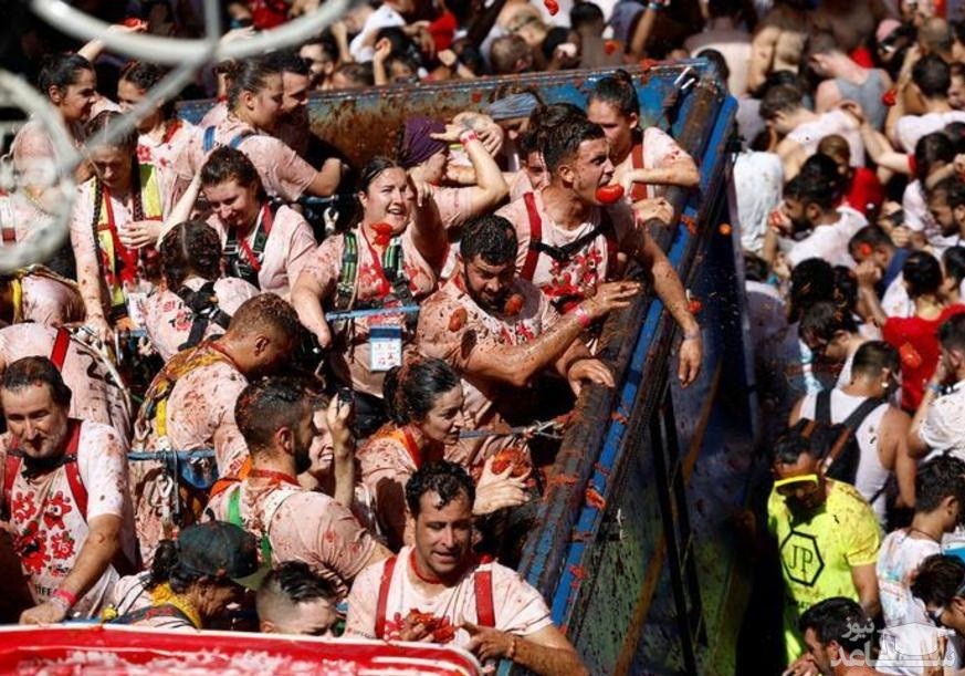 جشنواره جنگ با گوجه