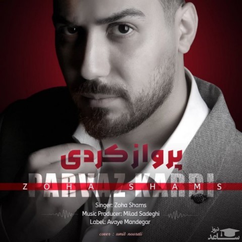 دانلود آهنگ پرواز کردی از ضحی شمس