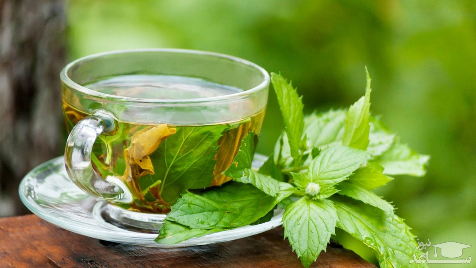 مصرف چه مقدار چای سبز در روز مناسب است؟