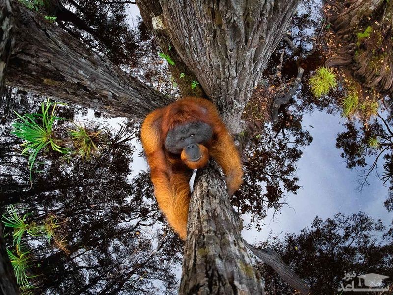 دیدنی های امروز یکشنبه 6 تیر 1400