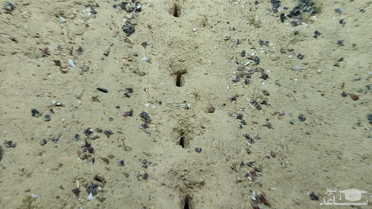 حفره های سطح دریا