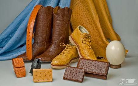 نحوه پاک کردن لکه روغن و چربی روی کفش