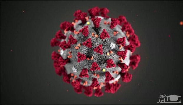 زمان پایان کرونا در ایران و جهان پیش‌بینی شد