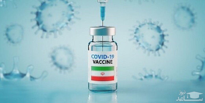 آغاز واکسیناسیون بالای ۵۰ سال و ماجرای خط تولید واکسن برکت