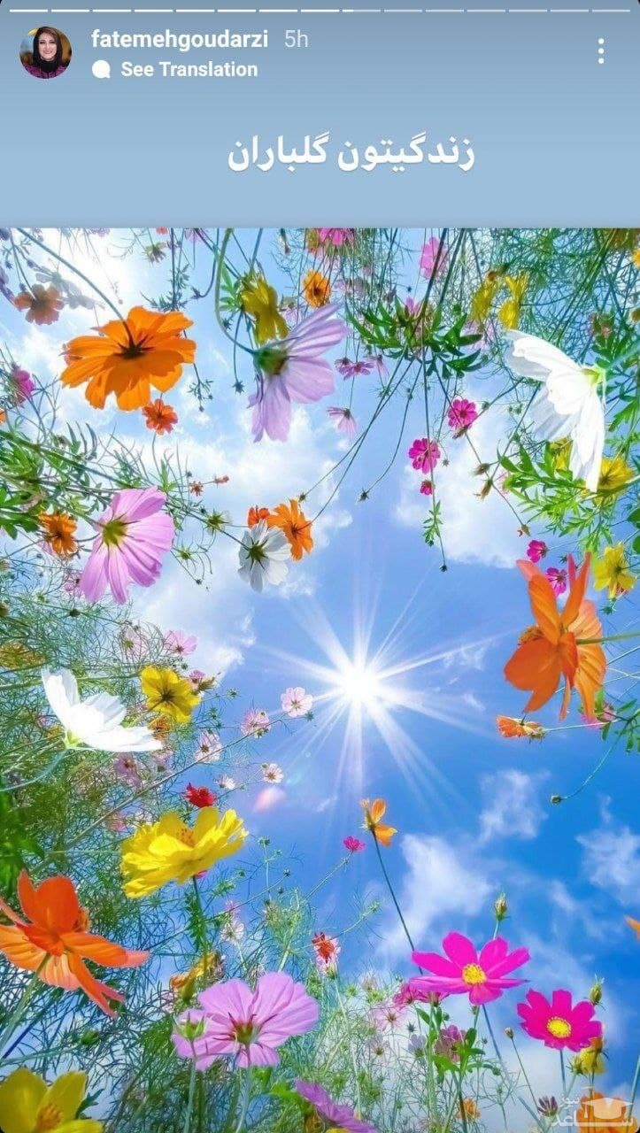 فاطمه گودرزی