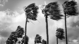 دانلود آهنگ باد 74 از افکت صوتی طبیعت و محیط