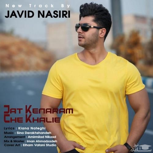 دانلود آهنگ جات کنارم چه خالیه از جاوید نصیری