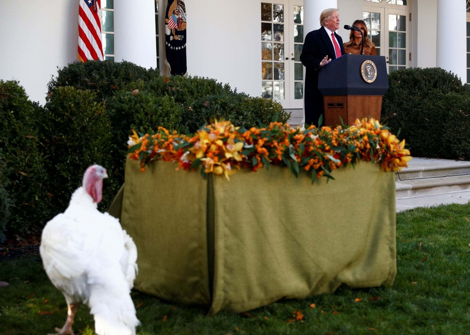 مراسم سنتی عفو بوقلمون توسط رئیس جمهور آمریکا در کاخ سفید