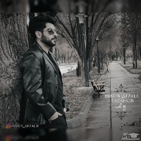 دانلود آهنگ تظاهر از حسین افضلی