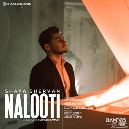 دانلود آهنگ نالوطی از شایا شروان