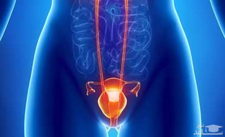 روش های درمان عفونت ادراری در دوران بارداری