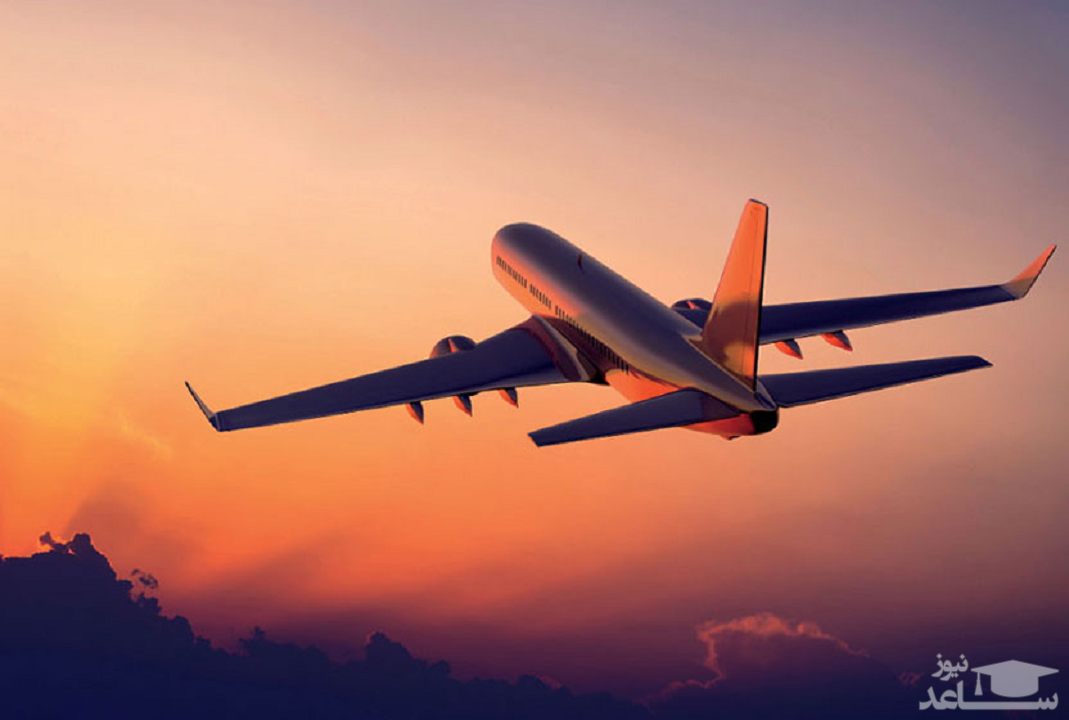 (فیلم) برخورد پرنده با شیشه کاکپیت کمک خلبان