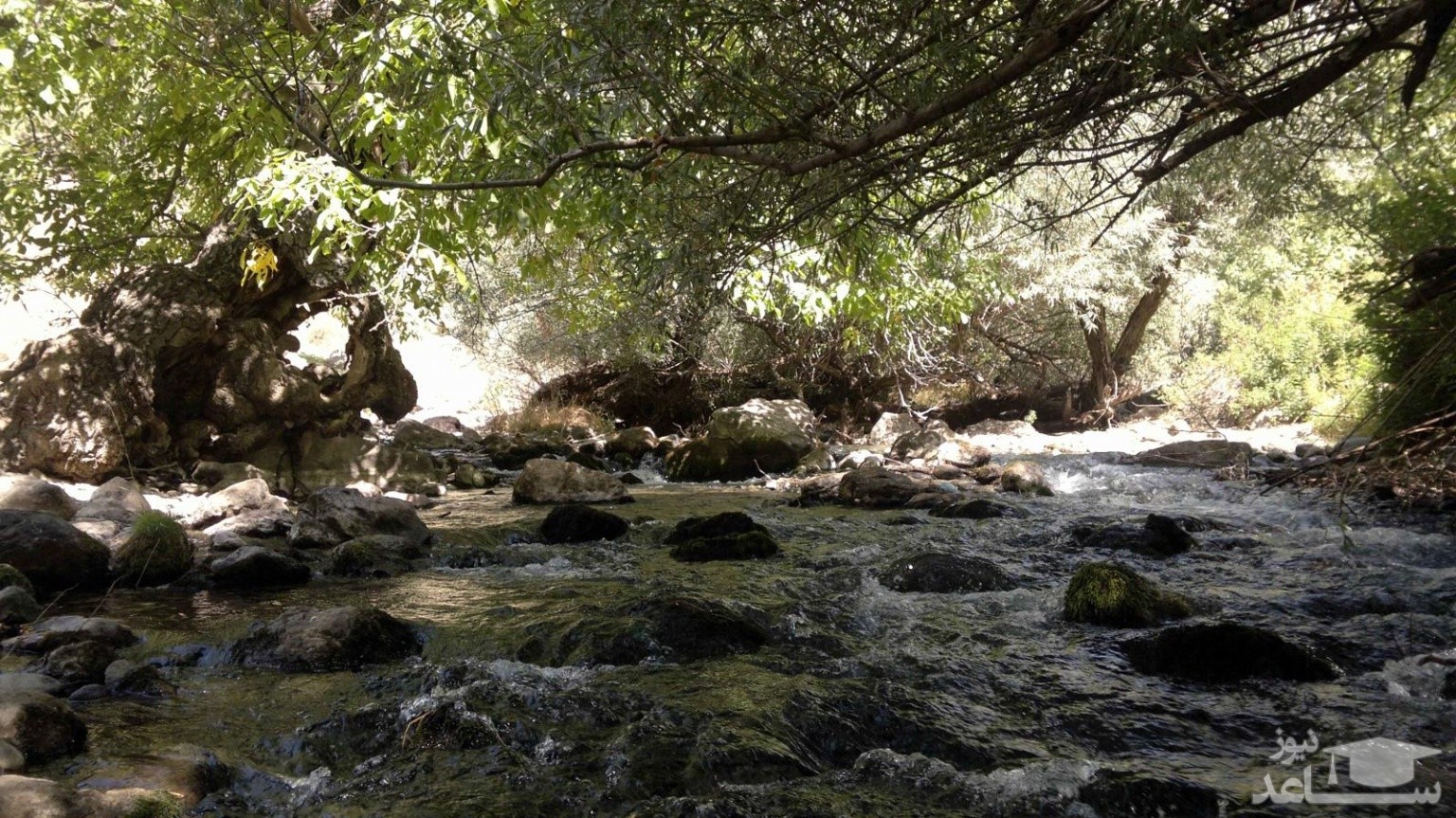 کهمان بهشت کوچک لرستان