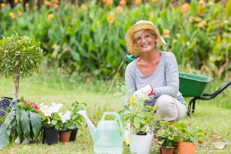 اهمیت مراقبت از پوست در هنگام باغبانی