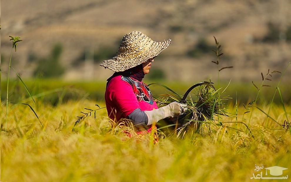 امروز به روایط تصویر  / 12 شهریور