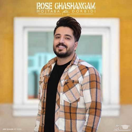 دانلود آهنگ رز قشنگم از مجتبی دربیدی