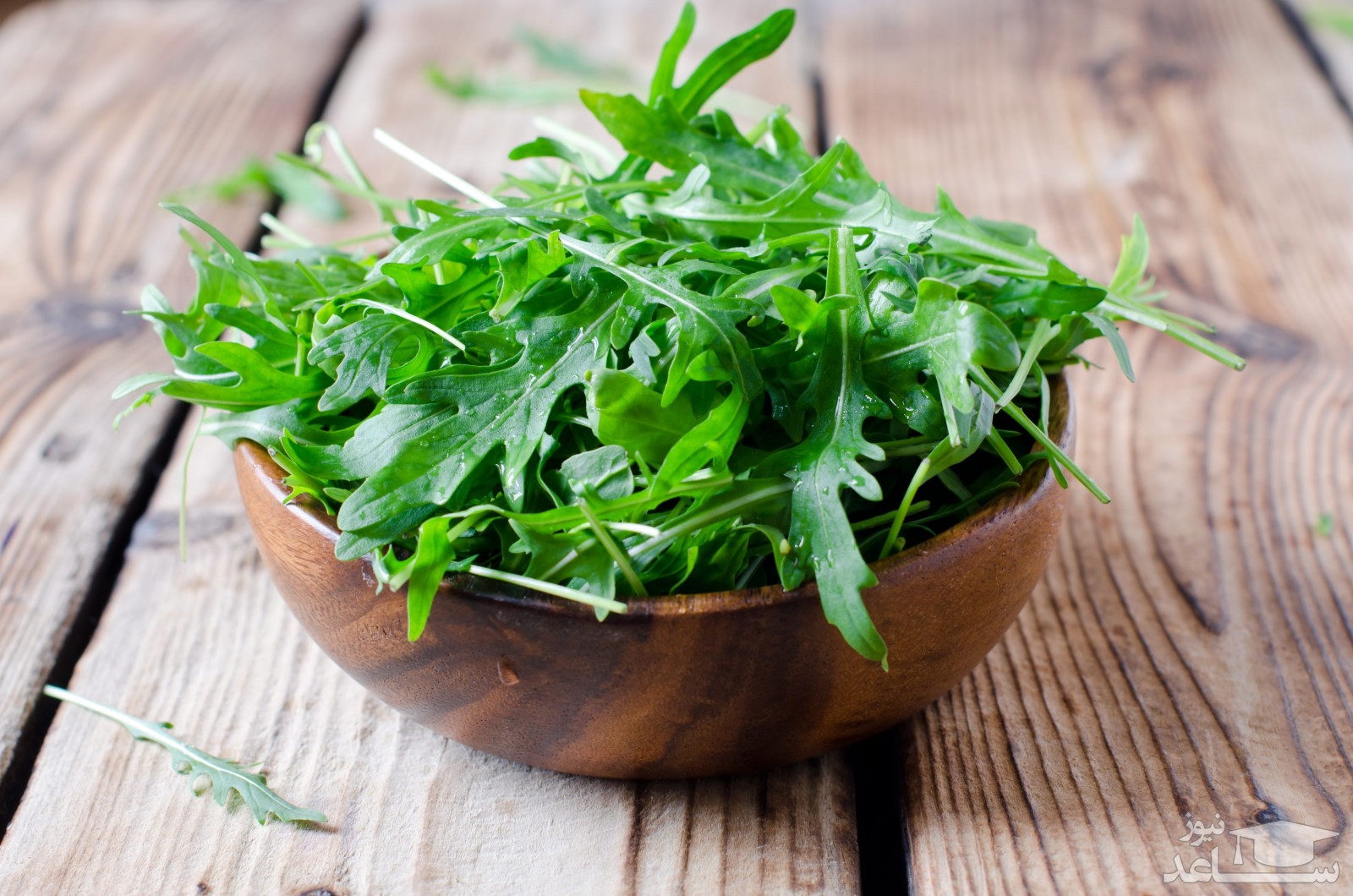 10 خاصیت گیاه منداب برای سلامتی و تندرستی