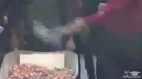 (فیلم) ریختن نقل و نبات بر سر داماد با بیل و فرغون