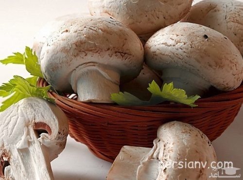 آشنایی با خاصیت درمانی قارچ