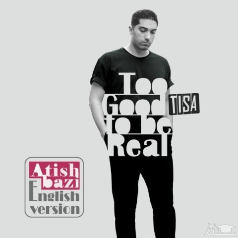 دانلود آهنگ Too Good To Be Real از تیسا