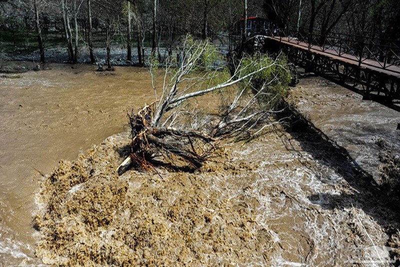 سازمان هواشناسی نسبت به سیلابی شدن رودخانه ها و مسیل ها هشدار دارد