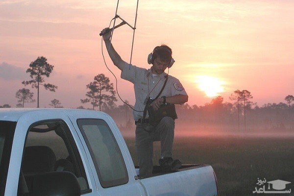 ردیاب انتنی