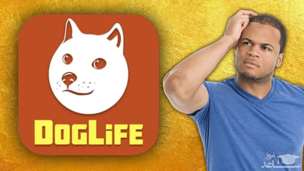 معرفی و بررسی بازی Dog Life: BitLife Dogs