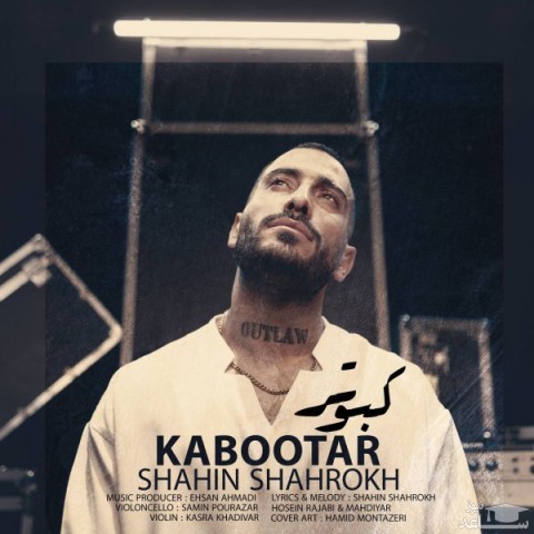 دانلود آهنگ کبوتر از شاهین شاهرخ